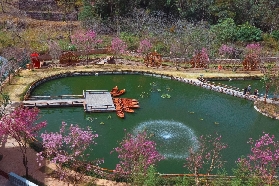 大叻Fresh Garden實測｜花田仙境+迷你動物園超抵玩✨