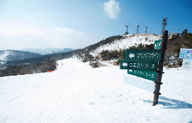 大阪出發滑雪一日遊｜現場實測！峰山高原超讚親子體驗🎿