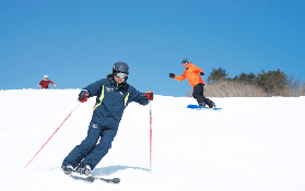 大阪出發滑雪一日遊｜預訂前必睇！新手/家庭唔好揀錯啦✨