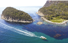 塔斯馬尼亞布魯尼島實測｜一日荒野巡遊避坑指南✨