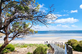 林肯港四驅車探險｜避坑3招+隱藏美景大公開✨