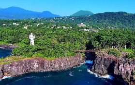 伊豆包車一日遊實測｜這些隱藏玩法我沒早知道哭了😭