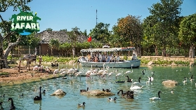 會安珍珠島避坑指南！這5件事千萬別做⚠️