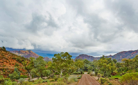 實測！8天7夜阿德萊德→烏魯魯探險｜地下屋+星空露營超抵玩✨