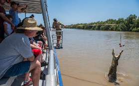 西澳阿德萊德河跳鱷｜實測避坑！全民能玩的鱷魚探秘攻略✨