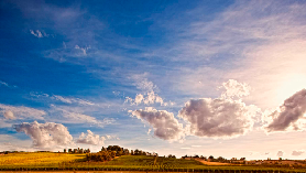 塔斯馬尼亞酒莊午餐實測｜1881年花園隱藏版體驗！避坑指南看這篇✨