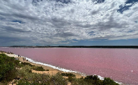 西澳3天2夜粉湖團實測｜每天行程亮點全曝光！