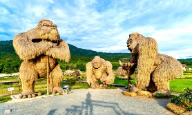 清邁半日遊實測｜不用一整天！長勁族+隱寺+金剛像，半天解鎖泰北精華！