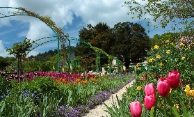 巴黎週邊隱藏玩法｜莫奈花園半日遊實測！避坑+體驗亮點全公開✨