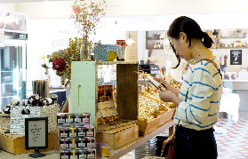 阿得雷德山+德國村半日遊｜實測超讚體驗細節大公開！