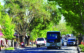 阿得雷德山&德國村半日遊｜遊玩後總結避坑+規劃建議