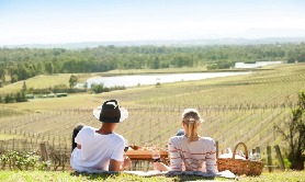 獵人谷Audrey Wilkinson酒莊｜野餐品酒實測｜3個預訂技巧+隱藏亮點大公開✨