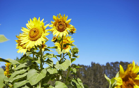 獵人谷美酒起司之旅實測｜3間酒窖+起司課，超讚體驗全記錄🤩