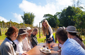黃金海岸坦伯林山酒莊一日遊｜Gallery Walk逛到不想走！實測心得大公開🤩
