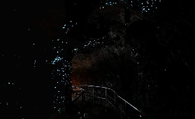 黃金海岸坦伯林山一日遊實測｜中文導覽超抵！避坑這3點就夠✨