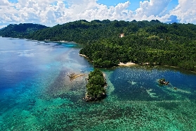 杜馬蓋地 × 錫帕萊潛水🌊 日潛 + 夜潛雙重夢幻體驗