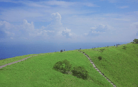 東京出發靜岡伊豆一日遊｜5個避坑建議，省錢又省時！