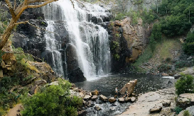 墨爾本大洋路+格蘭坪2日遊實測｜3個避坑要點+必玩亮點全公開✨