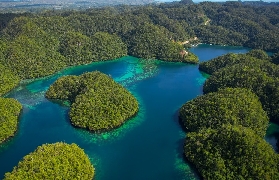 菲律賓索霍頓灣私人遊｜避坑實測！無刺水母+隱藏洞穴超抵玩✨