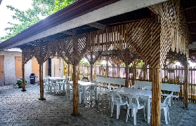 宿務鯨鯊+瀑布溪降實測！預訂前必睇避坑指南✨