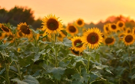 大雅臺一日遊實測｜塔爾火山+天空牧場超讚！隱藏景點大公開🥳