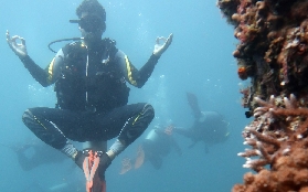 愛妮島潛水初體驗｜PADI探索課程實測！3次潛水見到尼莫啦🐠