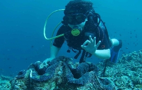 馬尼拉出發阿尼洛潛水｜臺灣人實測5個驚喜體驗+後悔沒做的3件事😭