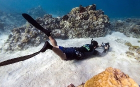 菲律賓八打雁自由潛2天課實測｜新手第一次潛就拍爆朋友圈！避坑幹貨✨