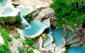 宿霧賞鯨鯊+水梯一日遊｜實測避坑！超抵玩又唔踩雷✨