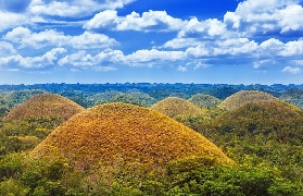 薄荷島8小時鄉村遊實測｜3個避坑點+螢火蟲觀賞超驚喜✨