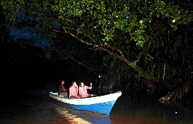 薄荷島鄉村遊&螢火蟲｜行程規劃懶人包+真實體驗分享🤩