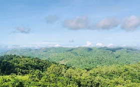 馬尼拉DIY烘焙實測！零失敗的療愈體驗細節全曝光🥧