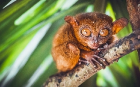 薄荷島陸地遊初體驗｜3個隱藏亮點讓我永生難忘！行程規劃看這篇就夠🫶