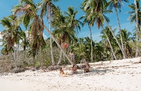 巴拉望3天2夜實測！拼團vs私人遊怎麽選？超抵避坑指南✨