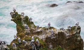 冰島斯奈山半島全日遊實測｜預訂前必睇3個隱藏細節✨