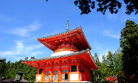 日本高野山必看！往返車票實測攻略✨避坑+省錢技巧