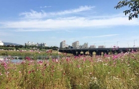 大邱觀光巴士｜遊玩後總結5個避坑建議，別踩雷！