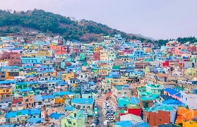 韓國大邱釜山慶州包車｜台灣遊客實測！機場接機+行程規劃超讚✨