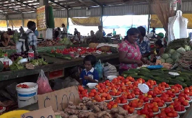 斐濟南迪一日遊｜廟市集花園一次玩！超讚在地體驗分享🤩
