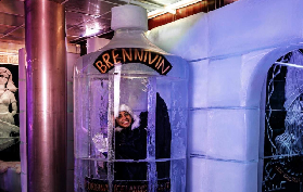 冰島必試！雷克雅維克冰吧門票實測｜零下體驗維京傳説+冰杯飲料超抵✨