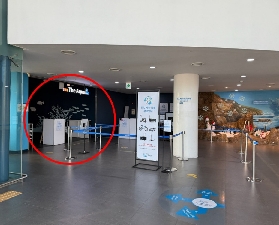 韓國京畿道水族館預訂｜一山韓華Aqua Planet門票超抵搶法！