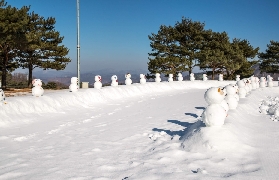 韓國京畿道一日遊實測｜5個體驗細節超真實！不藏私分享🤩