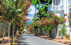 伊斯坦堡王子羣島一日遊實測｜零攻略避世感拉滿！含接送午餐超抵✨