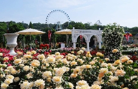 首爾愛寶樂園穿梭巴士總結｜3個必注意的實用建議💡