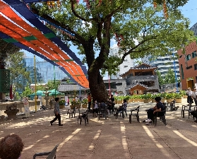 首爾一日遊爆好玩！景福宮+N塔導覽遊真實體驗全記錄🥳