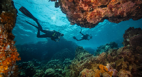 土耳其阿拉尼亞潛水初體驗｜零經驗也能闖海底！同行者也超好玩🤩