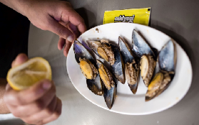 伊斯坦堡美食實測｜卡德柯伊魚市避坑+渡輪選位攻略✨