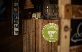 冰島黃金圈一日遊｜5個體驗亮點大公開！乳牛場冰淇淋超讚🍦