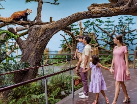 新加坡河川生態園遊玩地圖指南