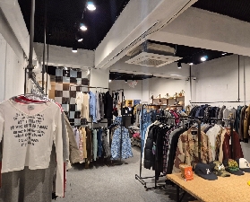 首爾江南潮玩實測｜跟K-Style策展人玩前必看！避坑選品攻略✨